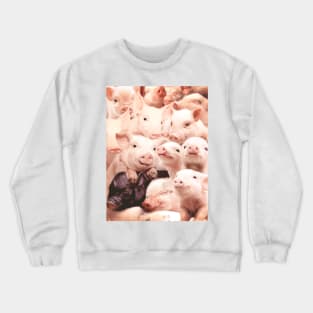 Pigs Crewneck Sweatshirt